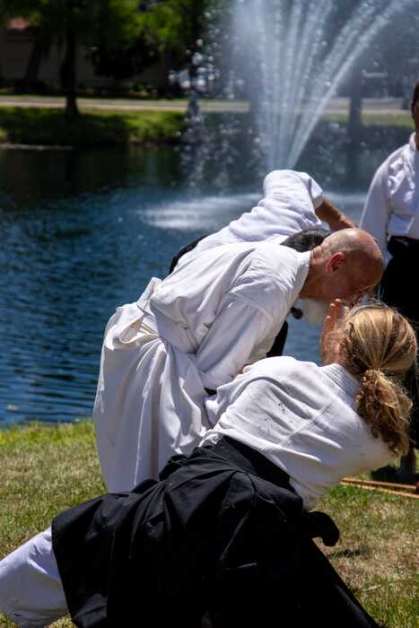 Florida Trip and Aikido Taisai 2026 image 4