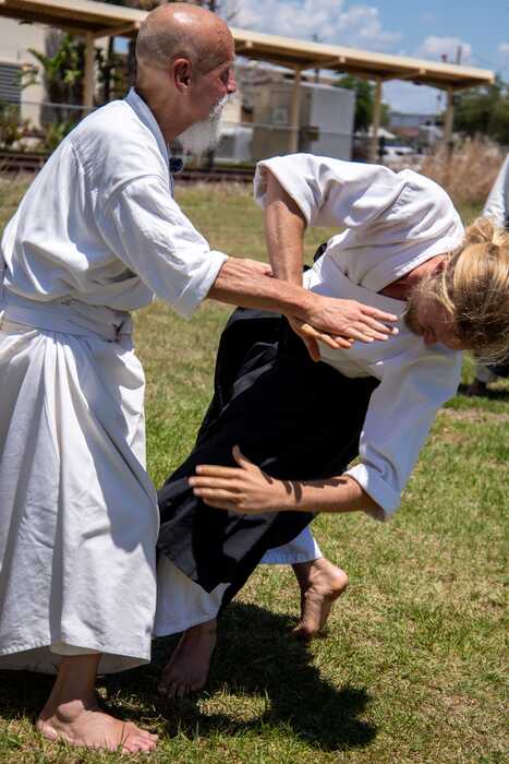 Florida Trip and Aikido Taisai 2026 image 11