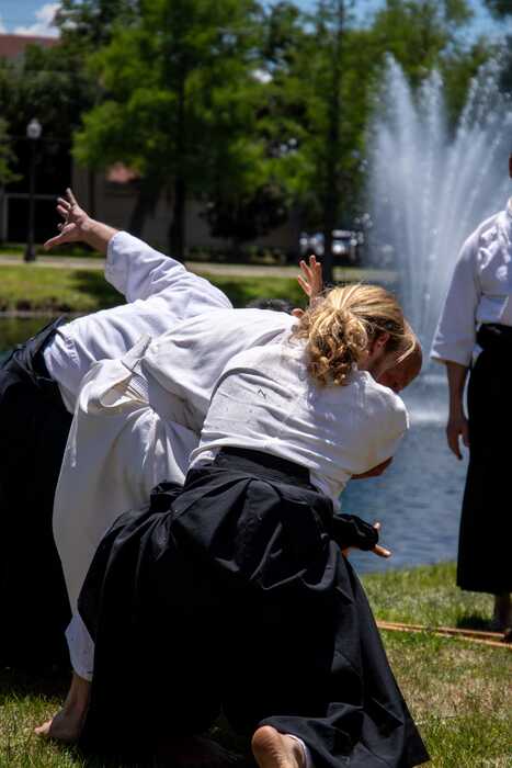 Florida Trip and Aikido Taisai 2026 image 13
